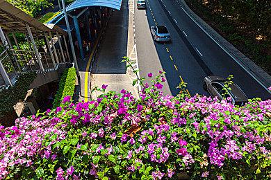 由于版权归属问题 《仙剑奇侠传》开发商LOGO变更